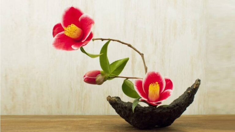 cicek duzenleme sanati