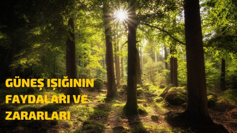 gunes isiginin faydalari ve zararlari