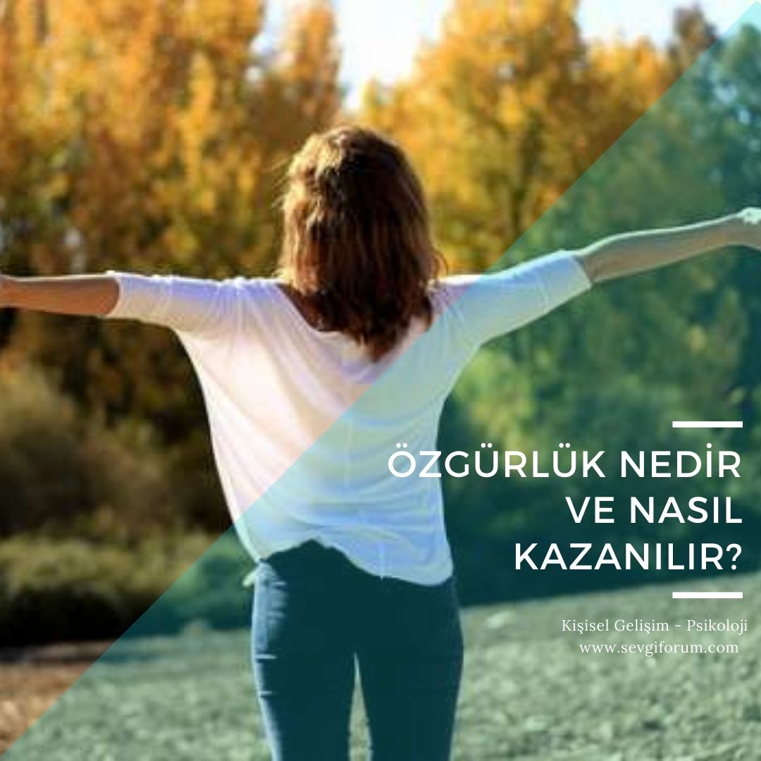 ozgurluk nedir nasil kazanilir
