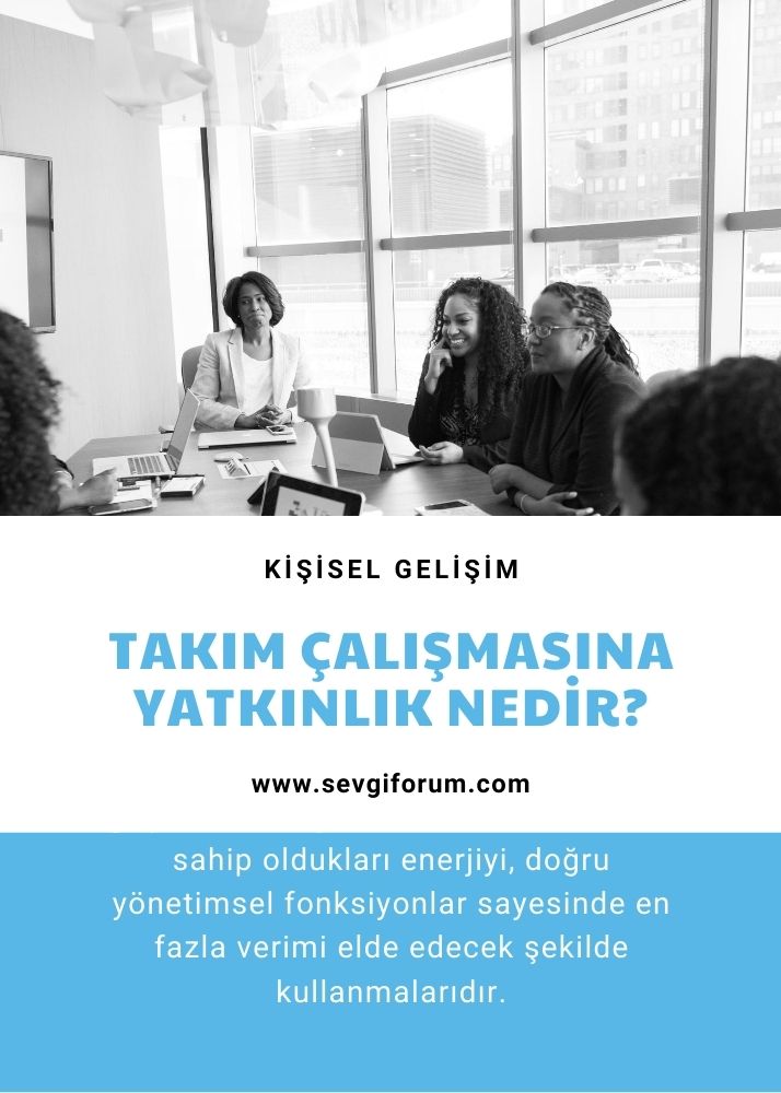 takim calismasina yatkinlik nedir