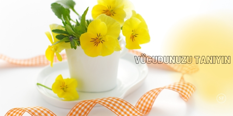 Vücudunuzu Tanıyın