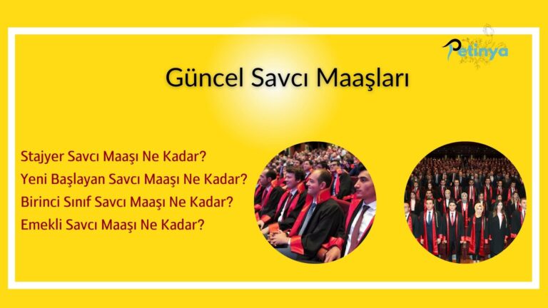 savci maaslari