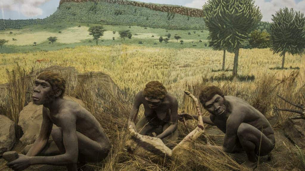 tarihte yasamis ilk insan turleri