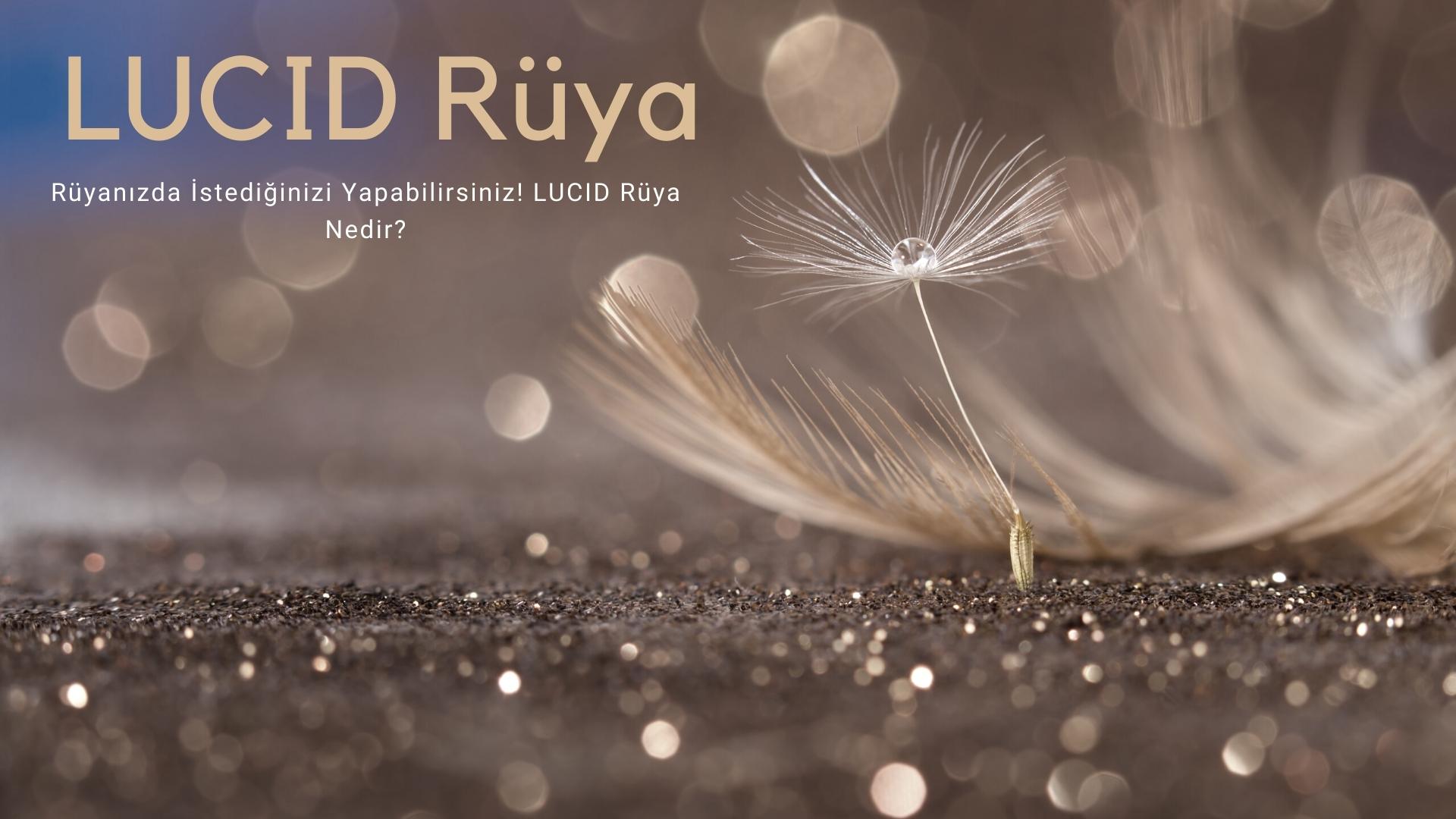 lucid ruya