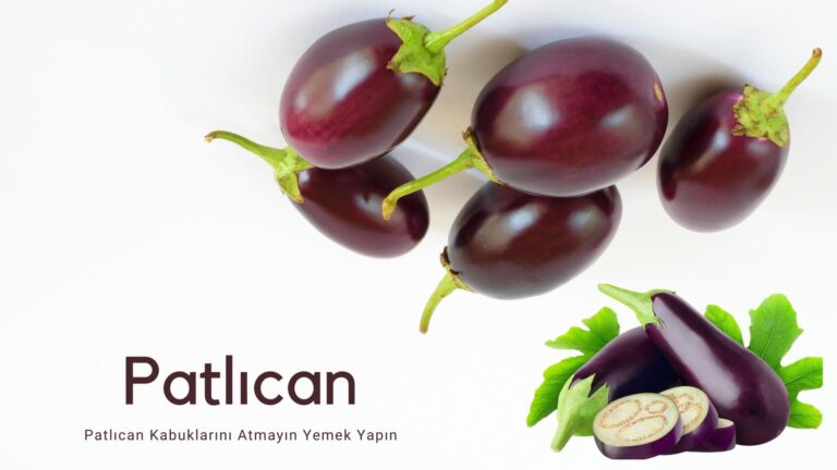patlican kabuklari